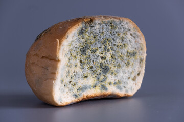 Bread with mold
