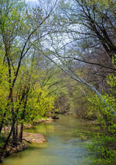 608-28 Little Raccoon Creek in Spring