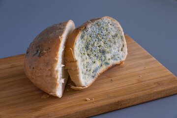 Bread with mold