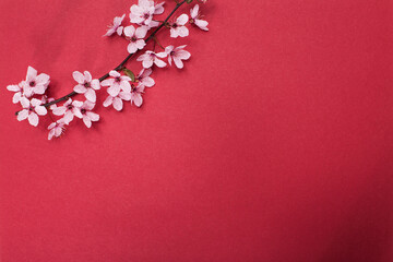 Cherry blossom tree branches on red paper background. Flat lay with spring elements and copy space