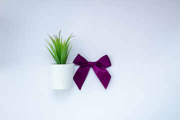 a purple bow with a green plant in a white pot and a place for text on a white background. Top view