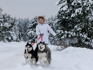 Girl walking with siberian husky in winter forest and park, animals and ecology