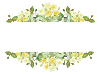 Watercolor hand painted nature herbal banner frame with yellow lime blossom flowers and green eucalyptus leaves on branch bouquet on the white background for invite and greeting card