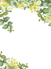 Watercolor hand painted nature border frame with yellow lime blossom flowers and green eucalyptus leaves on branch bouquet on the white background for invite and greeting card with space for text