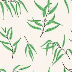 Trendy pattern with branch of eucalyptus. Vector illustration.