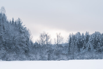 Snow-covered meadows and forest in the valley of the Stone Hill park on a frosty winter day....