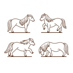 Pony icon set. Different type of animal. Vector illustration for emblem, badge, insignia.