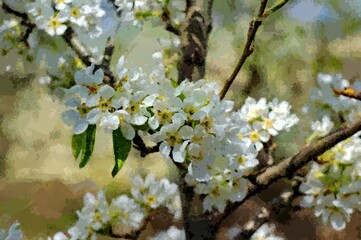 Oil paintings landscape, flowers, blossom in spring, fine art.
