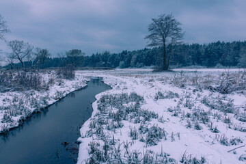Obraz premium Mala River at winter in Chojnowski landscape park near Konstancin-Jeziorna, Masovia, Poland