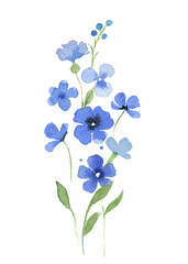 Fototapeta na wymiar Watercolor set blue flowers bouquet for greeting card design