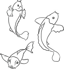 koi fish with isolate and sticker.Japanese koi carp tattoo design.Lucky Chainese animal.