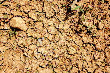 texture of the dry land