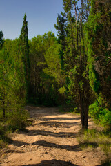 Fototapeta premium The Sichar reservoir in Ribesalbes, Castellon