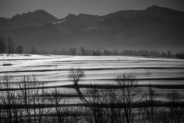 zoniowka, zakopane, tatry polskie 