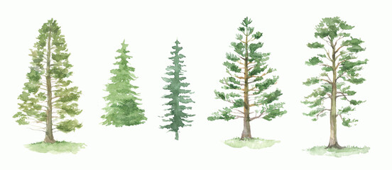 Green pine trees watercolor set. Fir trees silhouette. Forest