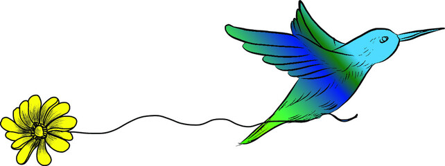 sketch, doodle, hand drawn illustration of hummingbird © NB-Art-NB