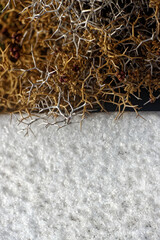 minéral et végétal