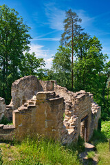 Naklejka premium Burgruine Rauheneck Haßberge Unterfranken Deutschland 