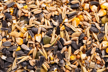 Background of  raw assorted seed and nuts for feeding wild birds.