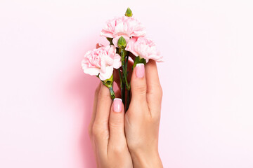 Female hands hold rose flowers on a pink pastel background. Beauty and care.