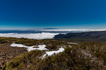 Iles Canaries, Ténérife, Espagne