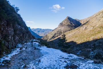 Winter landscape with snow