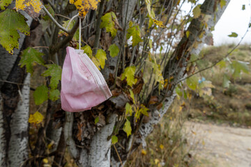 Stock photo of disposable face mask thrown in the forest. Pollution concept.