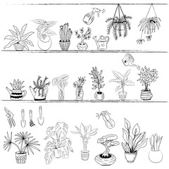 Set of hand drawn house plants in pots. Big set cute of hand drawn house plants in pots including cactus, dracena, aloe and others, and garden tools. Vector collection of doodle plants.