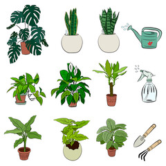 Fototapeta na wymiar Set of hand drawn house plants in pots. Big set cute of hand drawn house plants in pots including cactus, dracena, aloe and others, and garden tools. Vector collection of doodle plants.