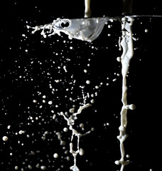 Splashes of white milk isolated on a black background.