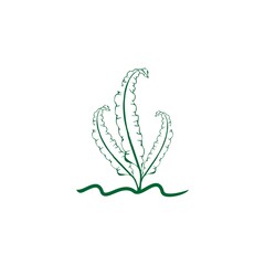 Vector illustration of seaweed logo design concept