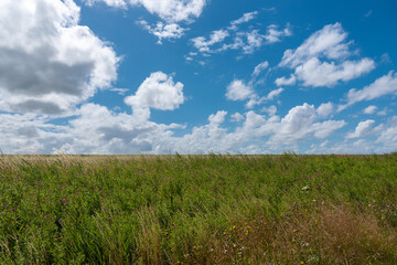 Landscape on the Leyhoerner-Sieltief by Greetsiel