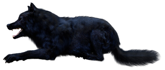 3D Rendering Black Wolf on White