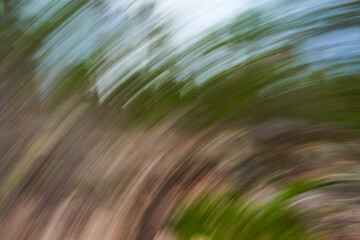 An abstract picture at low shutter speed of a forest in summer time