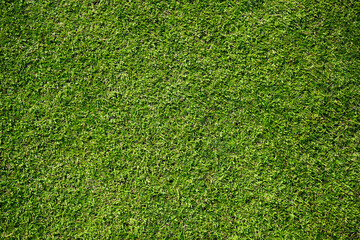 Top view of green artificial grass in outdoor garden.    Green Grass for Background Texture. Golf Course Green lawn for background texture.