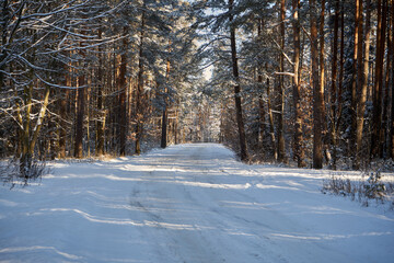 leśna zimowa ścieżka © Marcin Łazarczyk