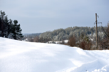 snowy nature in forest,winter photo
