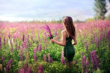 girl in a green dress on a lupine field. summer day
