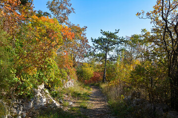 The autumn landscape near Malchina in Friuli-Venezia Giulia in North East Italy
