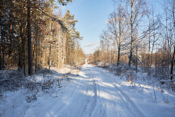 Obraz premium wiejska droga