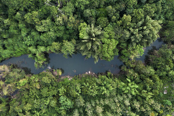 River in abundant tropical rainforest on natural park at countryside