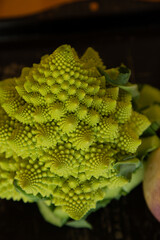 Detail view of romanesco 