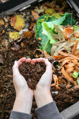 mains tenant du compost  au dessus du composteur avec déchets organiques - 410456718