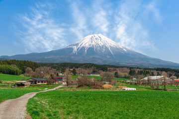 Obraz premium Mt. Fuji and Farmland