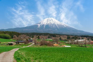 Foto op Canvas Mt. Fuji and Farmland © SeanPavonePhoto