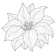 Flower.Coloring book antistress for children and adults. Illustration isolated on white background.Zen-tangle style. Black and white drawing.Hand drawn