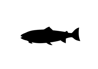Silhouette Salmone