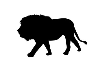 Naklejka premium Silhouette Leone