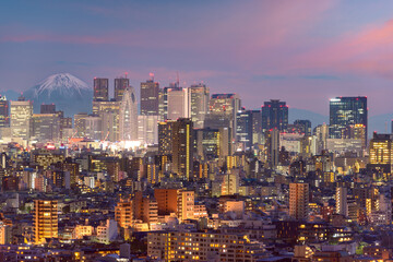 Fototapeta na wymiar Tokyo, Japan cityscape with Fuji