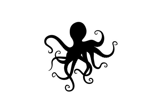 Silhouette Polpo